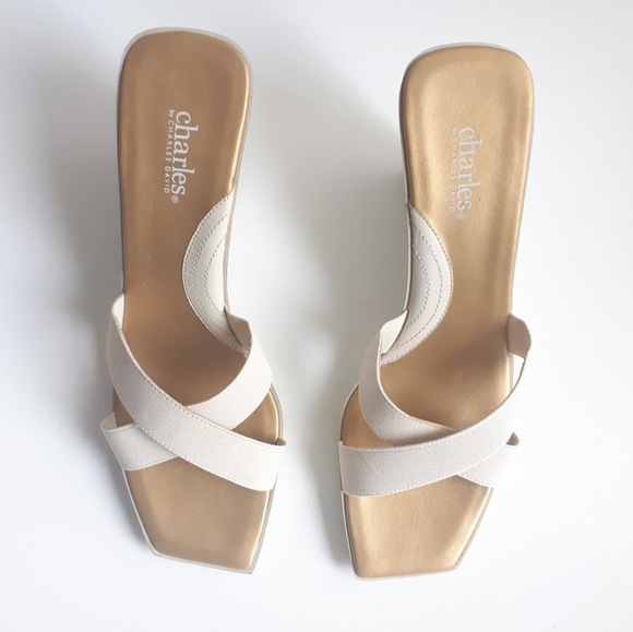 🎈HOST PICK🎈Charles by Charles David | NWOT Wedge Platform Sandals - Picture 4 of 14